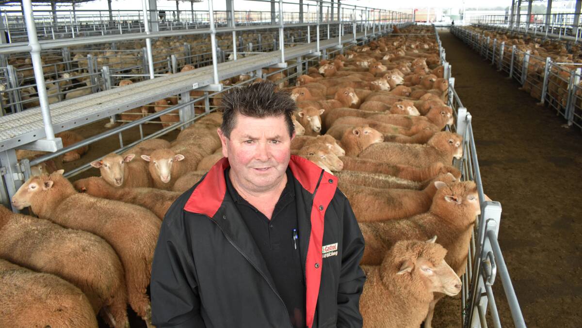 LEAP AHEAD: Four weeks ago, Dean lamb finisher Andy Maher pcitured with his lambs that sold for $300 - Tuesday his draft set a new state record of $344 a head..