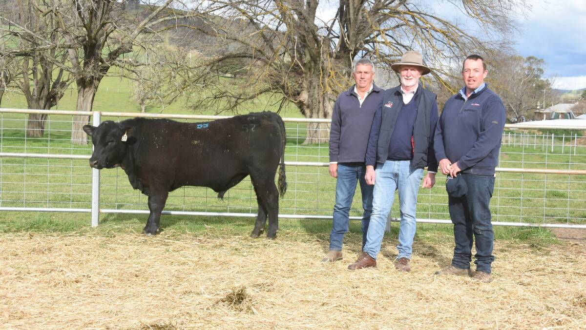 The Glen cattle breeding program manager Ian Peake, stud principal, Michael Gadd and Cameron Hilton Corcoran Parker, Wodonga with second top price bull, Ardrossan Legend P52.