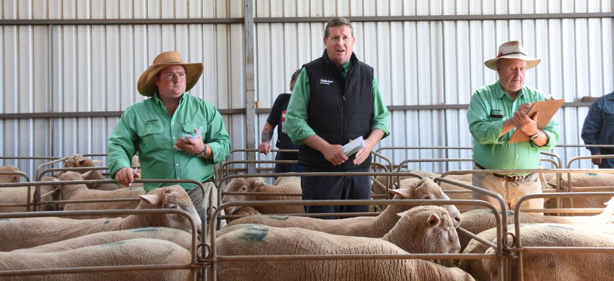 Ryan Burden, Peter Cabot and Mick Martin, Nutrien Livestock, tallying bids while taking buyers through the catalogue.