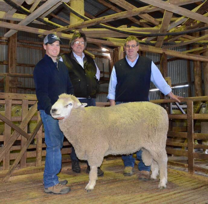 Roseville Corriedale co-principal John Manchester with buyer Rodger Alpass and his bidding partner Gary Simpson with one of the $2000 top price rams.