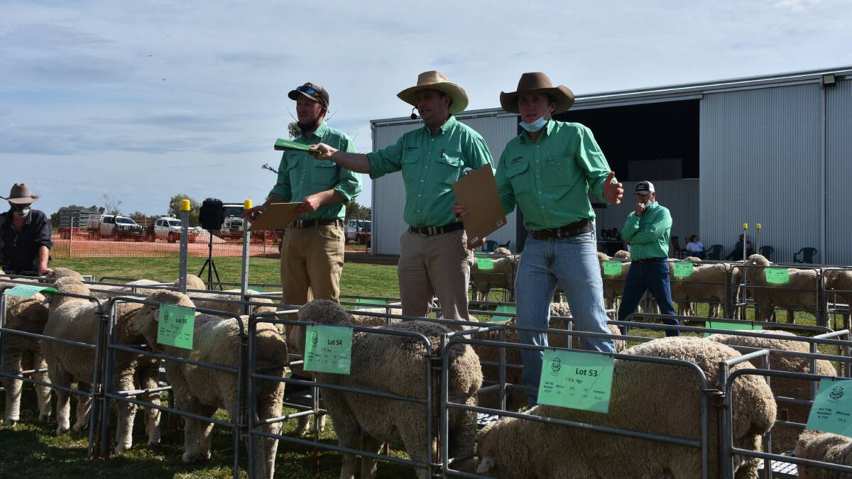 The Nutrien stud stock team in action, taking bids during the Ballatherie Poll Merino Sale, Hillston