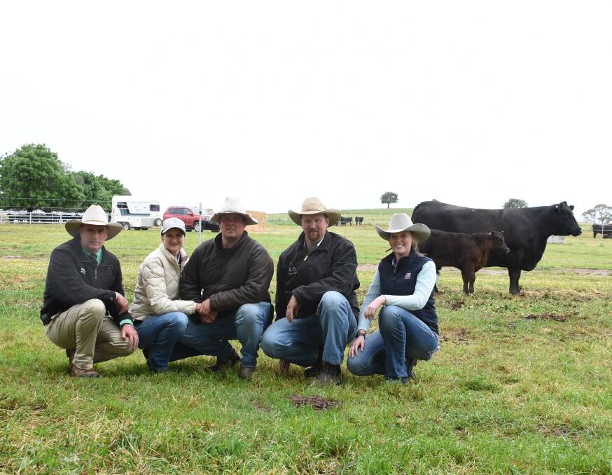 Nutrien Livestock agent Peter Godbolt, Premier Angus owners Annie and Stuart Geard, with buyers KO Angus stud manager Tim Lord and ABS representative Annie Pumpa and the top price cow, Premier Bara K15 and her bull calf. 