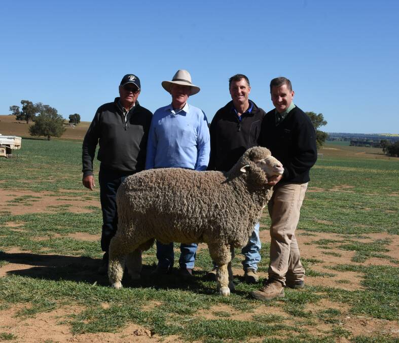 One of the top priced rams, Brundanella 18-014, pictured with stud classer/advisor Michael Elmes, vendor Ian Griffith, purchaser John Taylor, Monteagle and Rick Power, Landmark. 