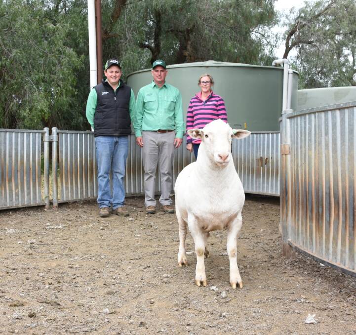 Lachlan Collins and Peter Godbolt, Nutrien, with vendor Andrea Vagg, and the top White Dorper ram. 