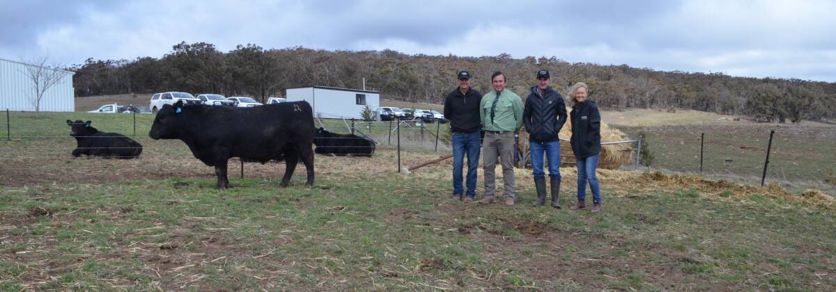 Top priced bull, Myanga Justify M65, with vendor Stephen Dunne, Landmark Wagga's Tim Woodham, Alan McCormack, Walwa, Gurrundah and vendor Sally Dunne.
