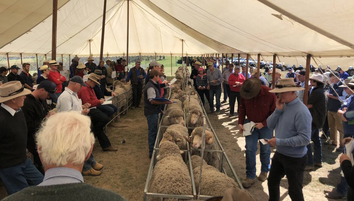 Bidder and onlookers during the 2018 annual Bogo Merino sale.