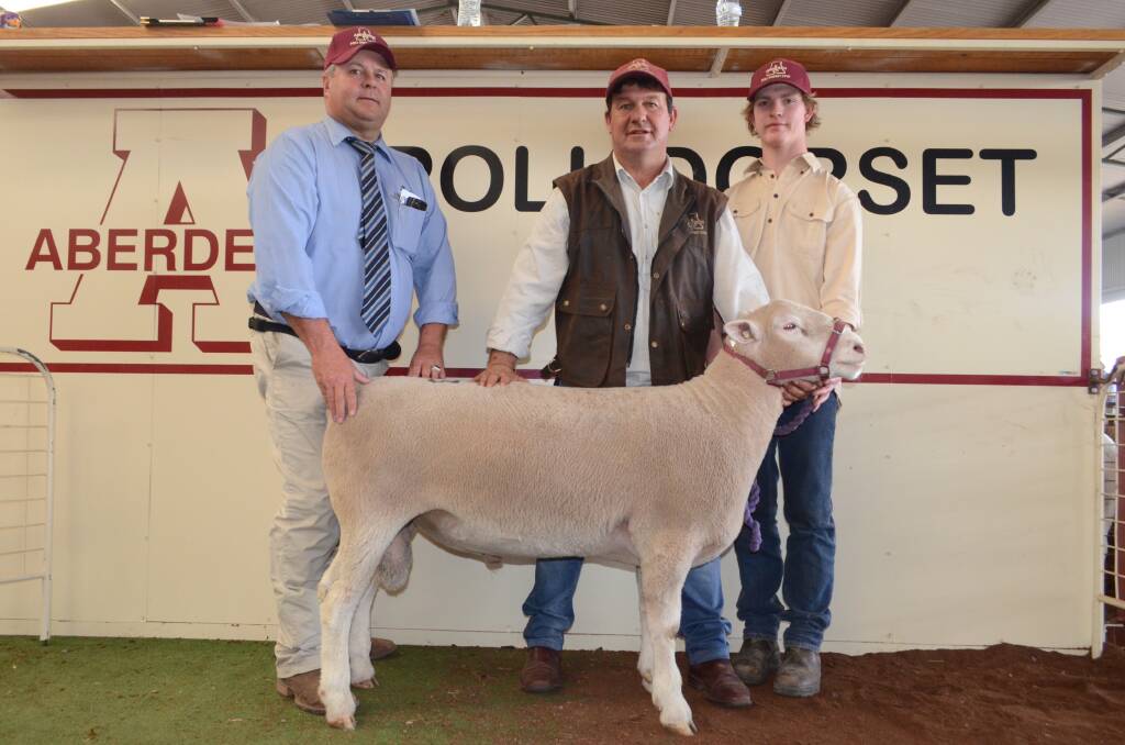 Auctioneer, Michael Glasser, GTSM, Patrice Vale, Victoria, and Simon and Jono Male, Aberdeen stud, Henty, with the $22,000 top-priced ram purchased by Deloraine Downs Poll Dorsets, Coleraine, Vic.