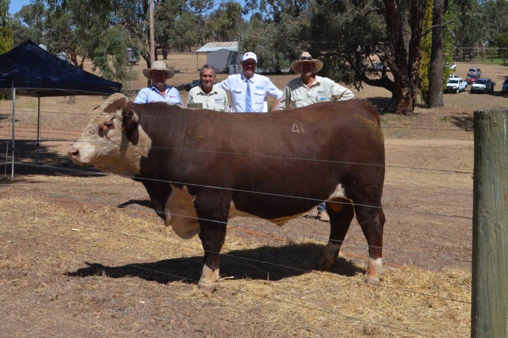 Injemira's Marc Greening with buyers Brian Burgess and Simon Ward of Ravensdale Herefords and Paul Dooley.