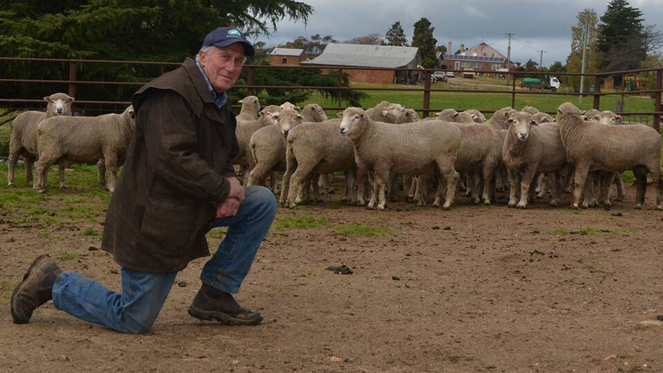 RAM LAMBS: Roseville Corriedale stud principal Tony Manchester in front of some young ram lambs on his Kingsvale, NSW, property.