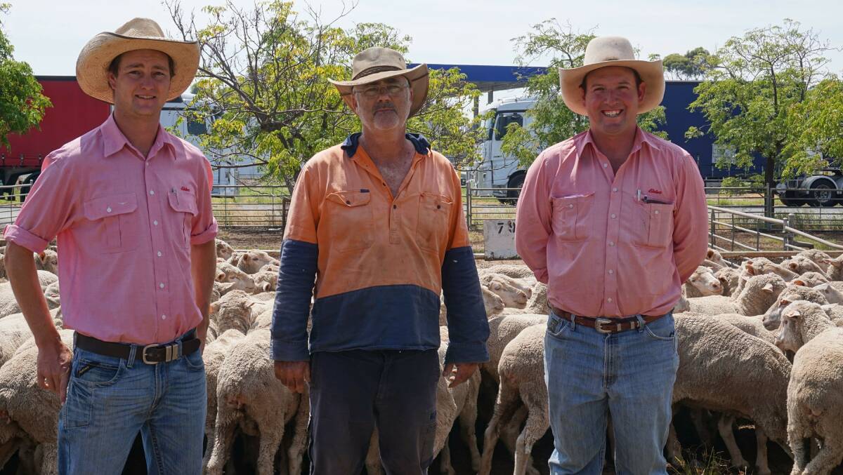 Mitchell Widows, Elders, with Jason Ridley, Girral, NSW, who sold 220 scanned-in-lamb Merino ewes for $124 at West Wyalong, NSW, and Jake Lebrocque, Elders. Picture supplied by Lucy Payne