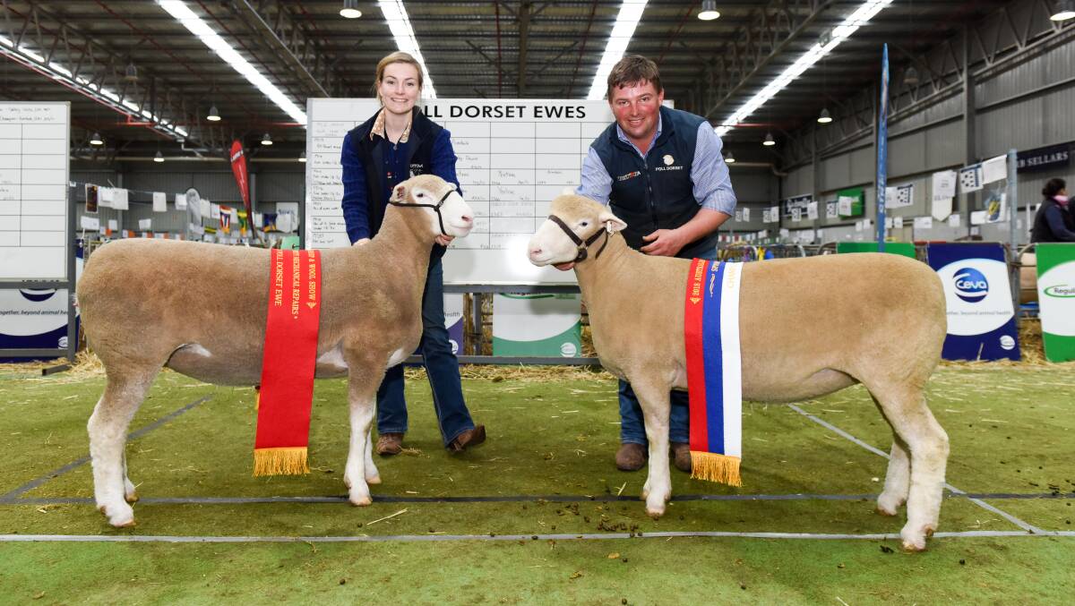 EWES: Charlotte Close, Closeup Poll Dorsets, Finley, NSW, with reserve champion ewe, and James Frost, Hillden Poll Dorsets, Bannister, NSW, with champion ewe.