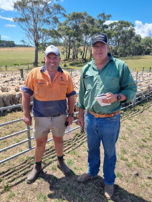 Ed Archer, Hillwood, Tas, sold 2000 composite wether lambs at the Tamar Valley, Tas, annual sale, with Warren Johnston, Nutrien, who was the biggest buyer of the day. Picture supplied.