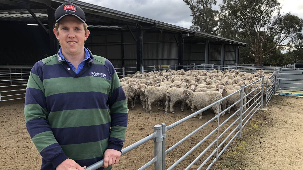 Kyle Cordy is the farm operations manager of Avington Merinos.