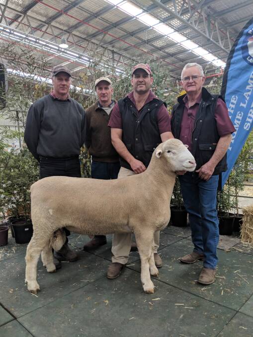 Bruce and Stuart Richardson, Grassfield stud, Newlyn, with their $8000 ram, purchased from Scott and Doug Mitchell, Rene stud, Culcairn, NSW.
