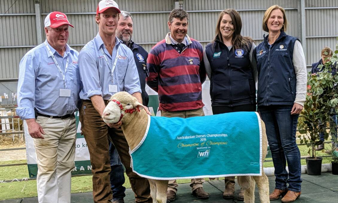 WFI Champion of Champions Poll Dorset ram winners Graham and James Gilmore, Tattykeel, Oberon, NSW, with judges Damon Coates and Sascha Squires, Holly Rowlands, WFI, and judge Isabele Roberts.