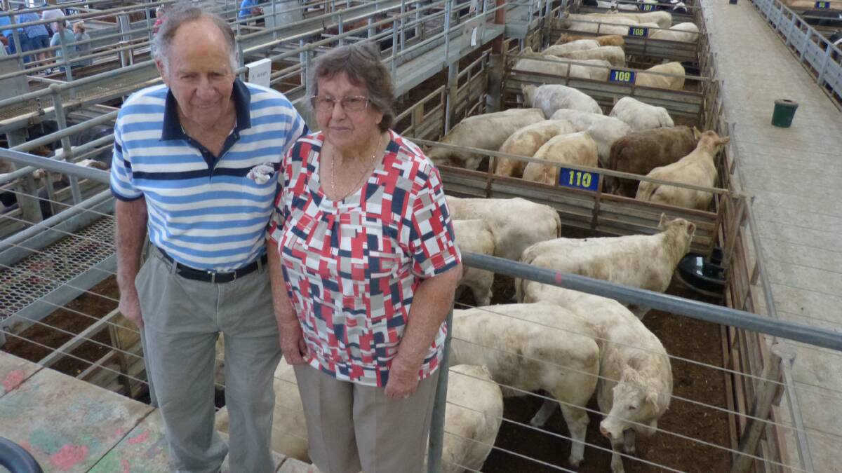 Lindsay and Joan Fechner, Koo Wee Rup, sold the last of their steers at Leongatha to 271.2c/kg and heifers to 268c/kg.