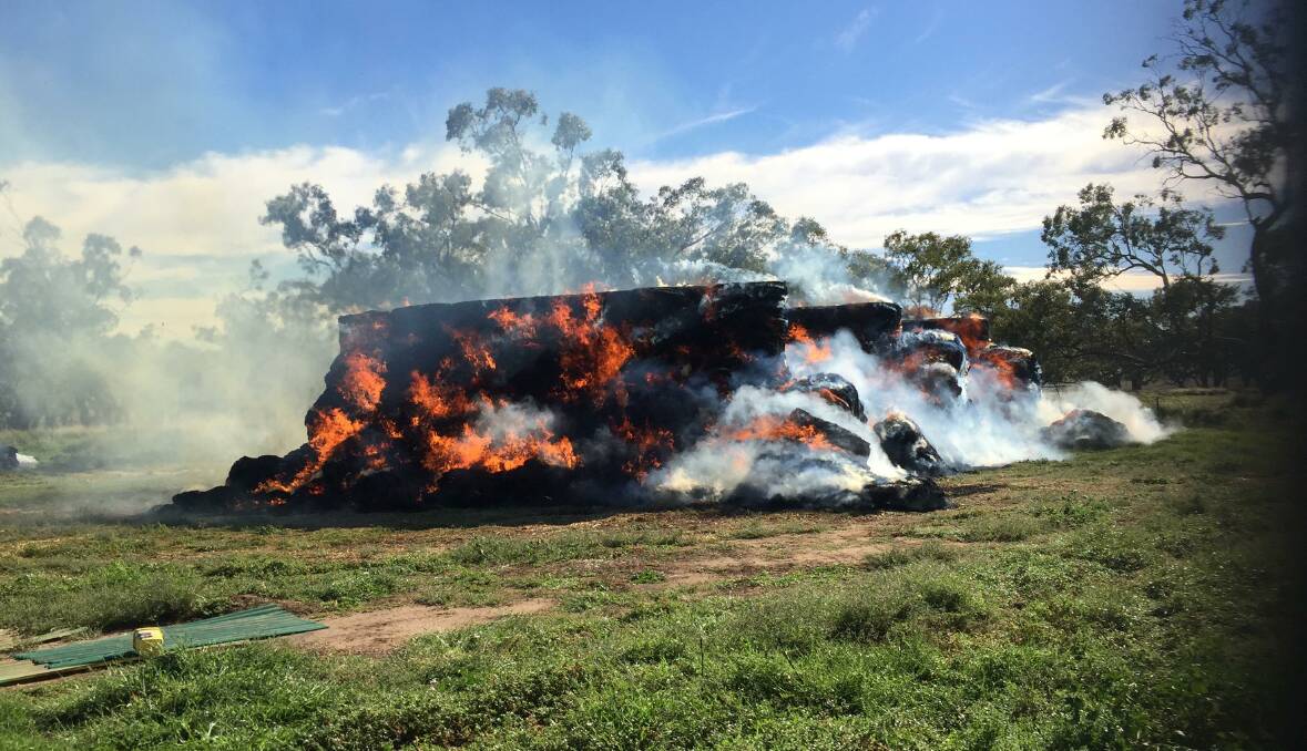 Ruined: A Gulargambone farmer was forced to burn their hay after mice contaminated it, rendering it toxic. Photo contributed. 