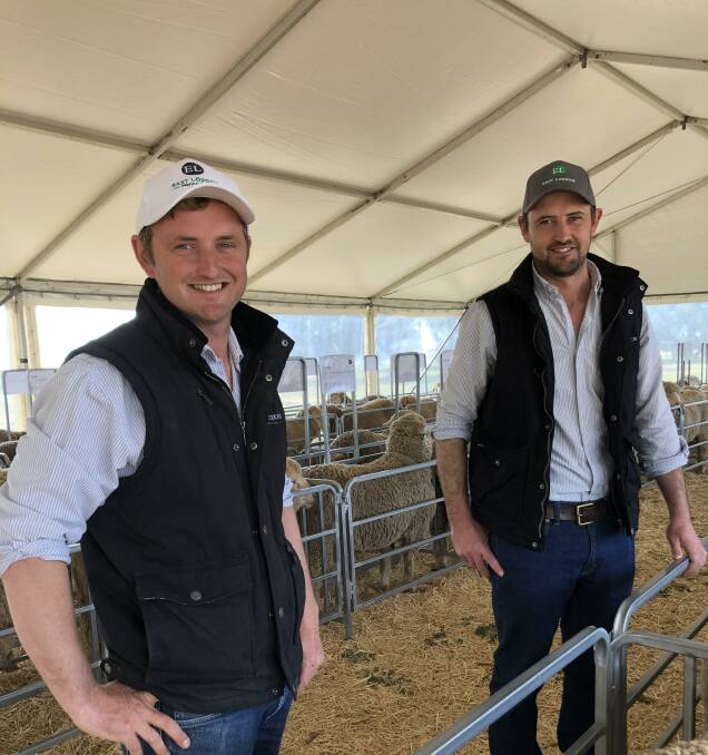 QUALITY: Marcus and Tom Hooke from East Loddon Merinos are seeing increased demand for their genetics in high rainfall areas.