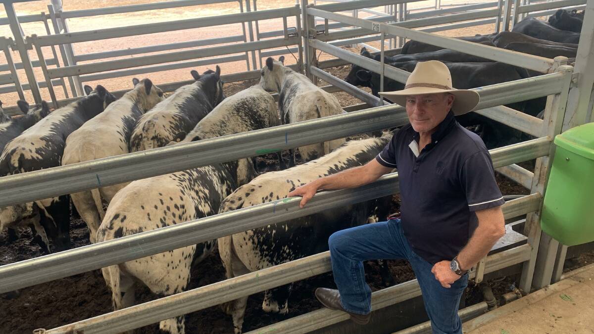GLOBAL GROWTH: Speckle Park International chairman Wayne Munt is excited about the breed's growth, with nearly 13,000 Speckle Park stud animals now registered in Australia and New Zealand. 