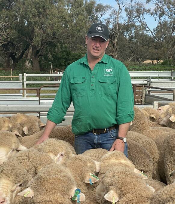 CAREFUL SELECTION: Breeding productive dual-purpose Poll Merinos is a priority for Woodpark Poll stud principal Stephen Huggins, Hay, NSW.