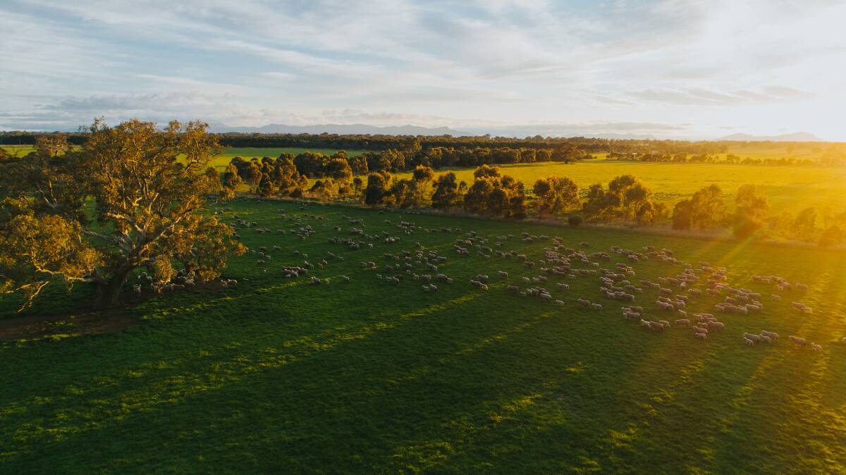 Livestock producers across Australia now have access to a range of grazing land management information and tools into a one-stop-shop on the MLA website. Picture supplied