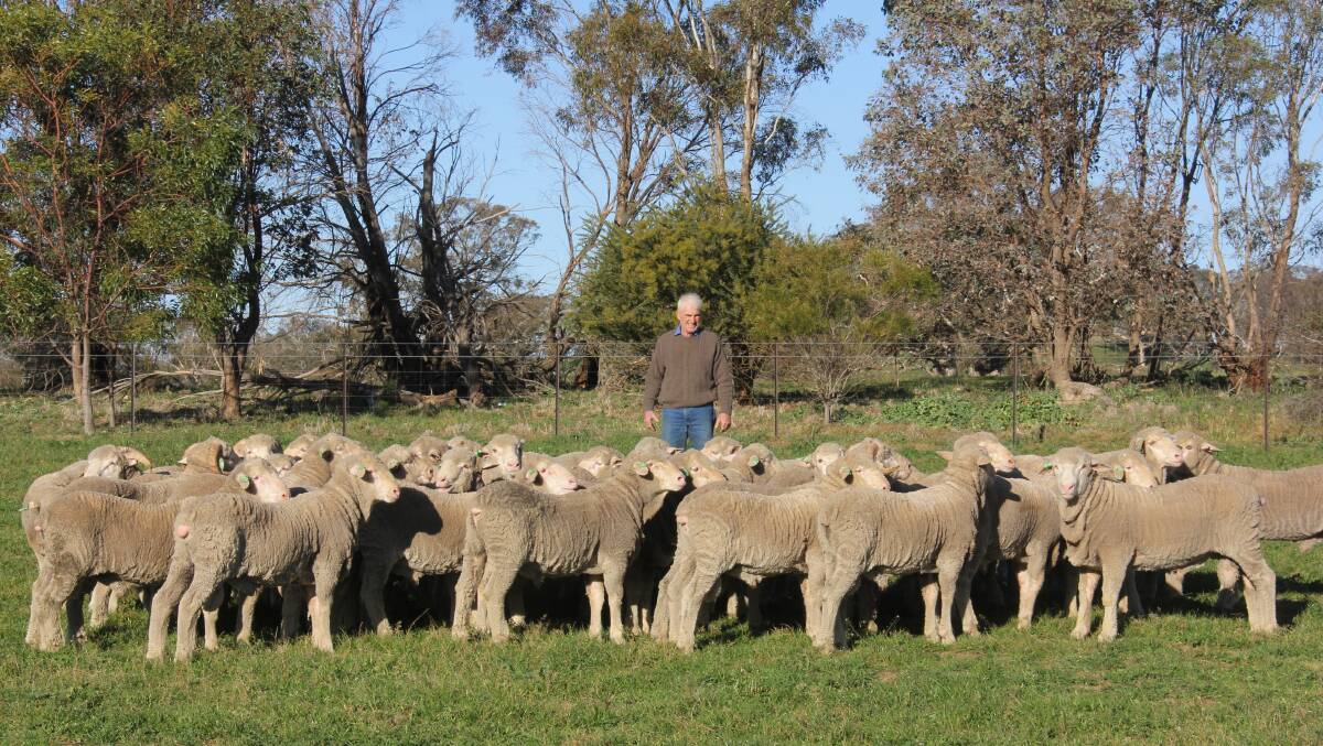 TALLAWONG: Frank Kaveney, Tallawong Merinos stud principal, has a passion for breeding and an eye for profitability.
