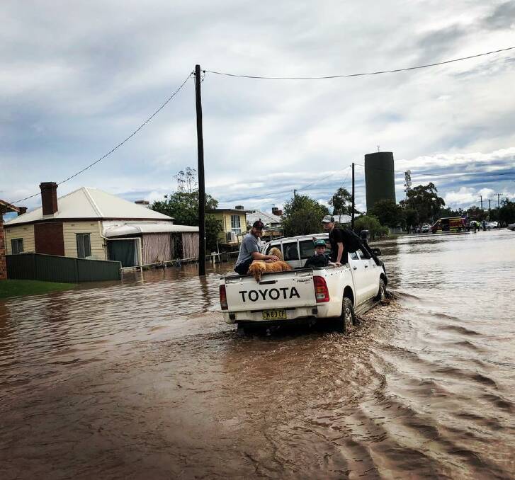 SHIPPING OUT: People and pets fleeing the Narrabri flood waters via ute. Photo: Narrabri Fire and Rescue