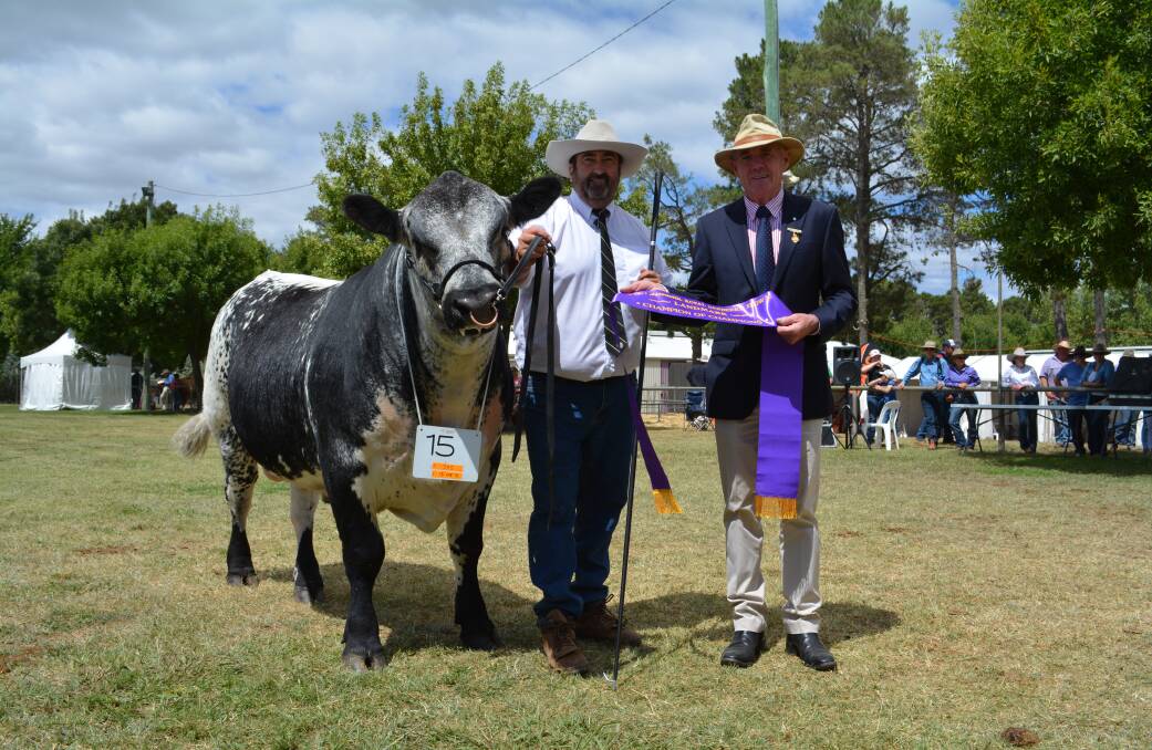 Greg Ebbeck, Six Star Speckle Park, Bundanoon and Injaaz Famrs, Dubai, and Stephen Beer, Royal Canberra Show Society RCSS immediate past president, Bungendore, with the Six Star Premier, the interbreed 'Champion of Champions" sash winner. 