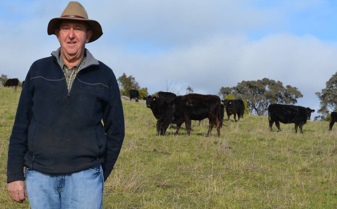 Bob Russ, Old Stonehouse Pastoral “Iralee”, Blayney, is an Angus cattle breeder who has been buying Karoo Angus, Meadow Flat, bulls for 20 years. 

