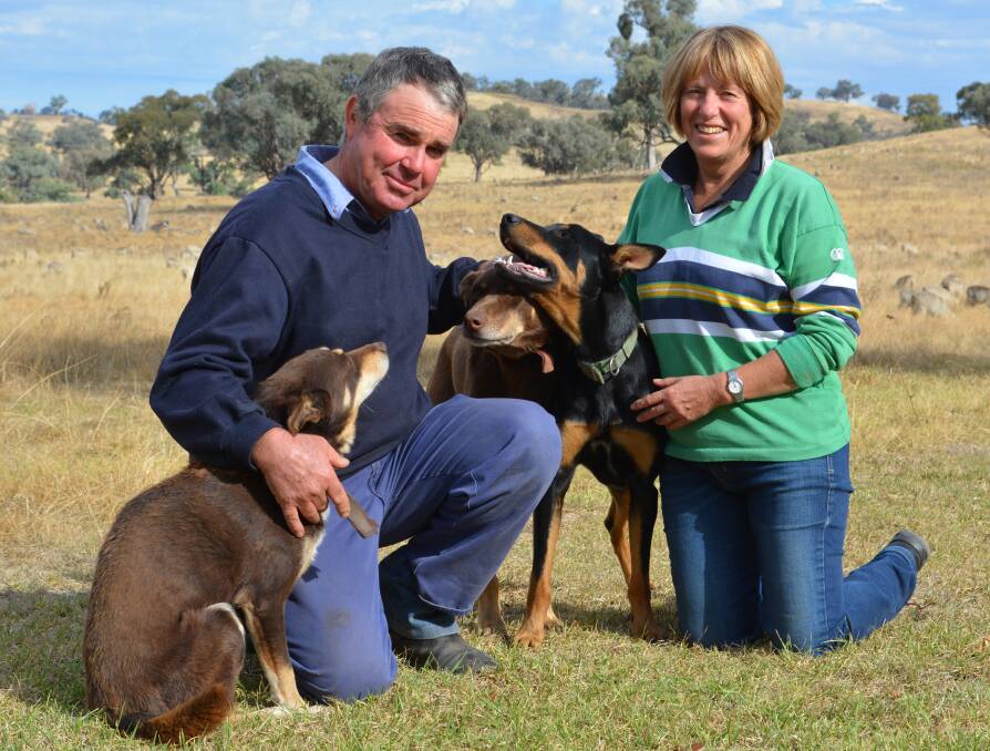 John and Penny Holland, "Uungula" Wuuluman, near Wellington with three of their working dogs, Doc, Herb and Bruce, who help muster more than 12,000 sheep. 