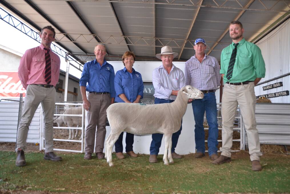 TOP EWE: Elders Minlaton branch manager Adam Pitt, Ramsay Park principals Peter and Julie Button, Minlaton, with the record- making ewe and its buyers Ian Gilmore, Oberon, NSW, and Anthony Hurst, Lucindale, and Nutrien Ag Solutions Minlaton branch manager Damien Bennett.