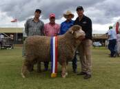 Elders SA Merino Expo ram of the year was won by Collinsville stud. Collinsville's George Millington, Elders Burra branch manager Nick Brooks, Cam Munro, Warren, NSW, Tony Brooks and Tim Dalla. 