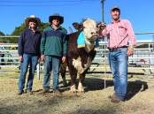 BEST BULL: The Days Whiteface team of Hettie Day, Nick Sullivan and Lachy Day holding the supreme exhibit, Days Isidore R213. 