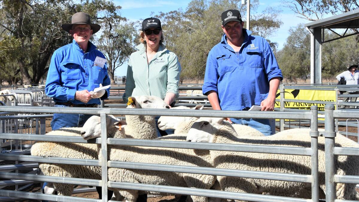 Allan Casey, Advance breeding services, Orange, New Armatree stud principal Jenny Bradley and bulk purchaser Nick Forbes, Hazledean manager, Myalla Station, Cooma with a pen of New Armatree rams 