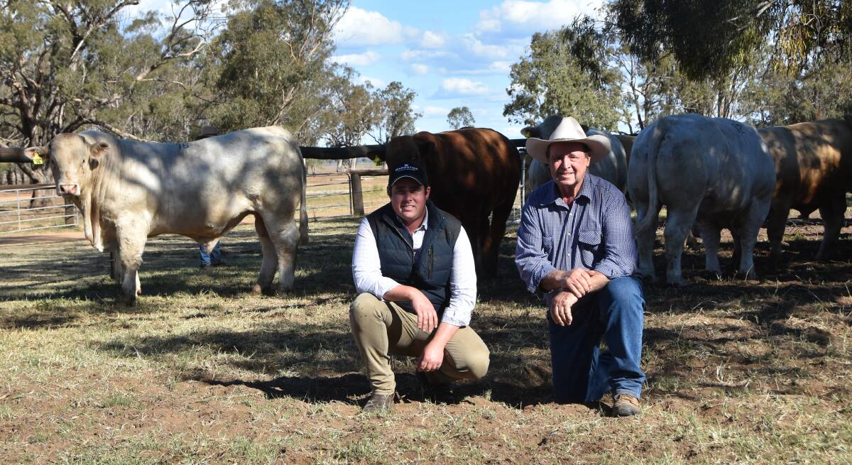 Bulk buyer and buyer of the top price bull Will Creek, Fort Constantine, Cloncurry, QLD with Temana stud principal Terry Griffin