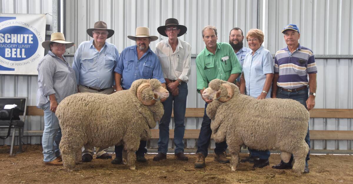The top and second top price Merino rams at the Westvale sale, with purchaser Linda Waters, The Range, Enmore, vendor Leo Blanch, Westvale, Scott Matthews, Westvale, holding the top price ram, purchaser Chris Dunne, The Range, Enmore, Agent Angus Carter, Nutrien Ag solutions, holding the second top price ram, Schute Bell Badgery Lumby Guyra branch manager Todd Clark and purchasers Robin and Don Edmonds, Muswell Hill, Kentucky. 