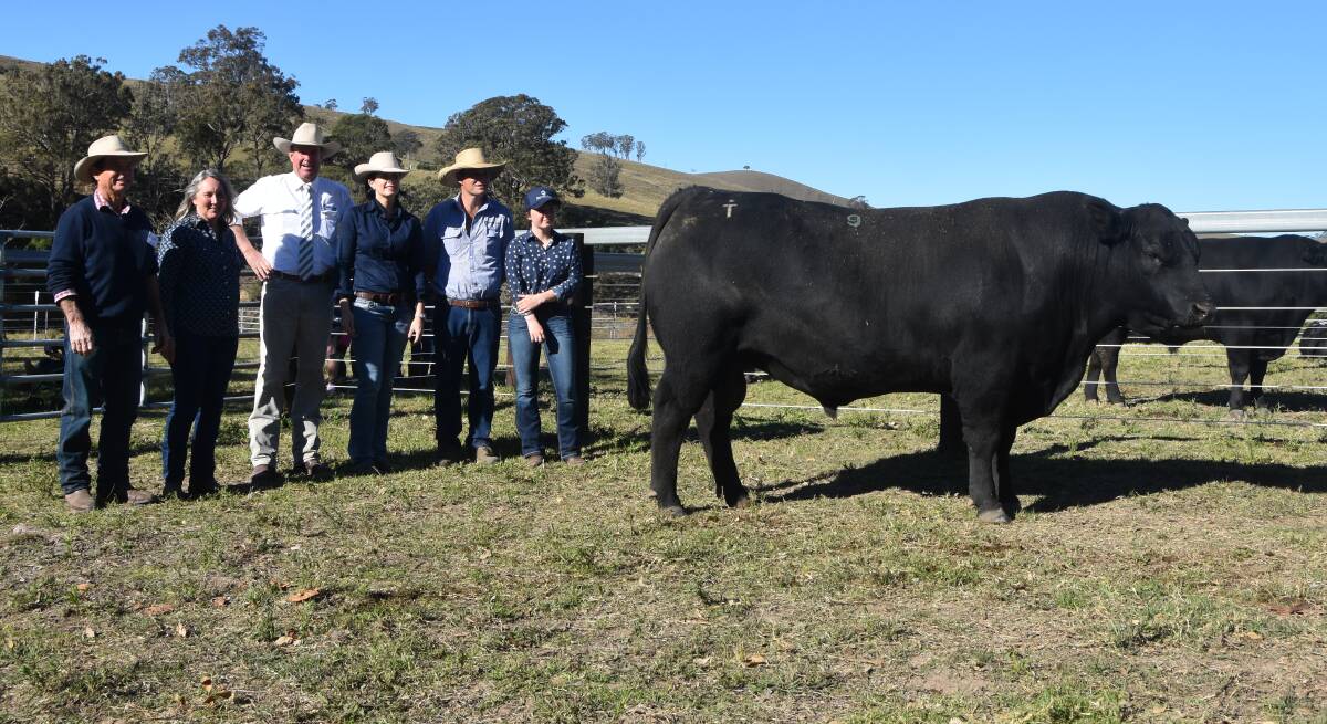 $44,000 top price Sugarloaf Harvester N174 with Sugarloaf stud principals Jim and Sally Tickle, auctioneer Paul Dooley, new owner Kate Boshammer, JK Cattle Co, Condamine, Queensland, agent Rodney McDonald, Bowe and Lidbury and Becky Tickle, Sugarloaf Angus 