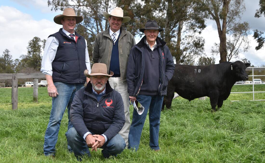 Top Price $20,000 Coolie Capitalist Q5 to heads to Macka Pastoral, Salt Ash, with agent Dean Taylor, Davidson Cameron and Co, auctioneer Paul Dooley, stud principal Mac Whitehouse and Coolie manager Jamie Edmonds