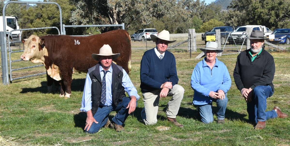 The $18,000 Cascade Anzac P004 with Cascade stud manager Jack Smith, auctioneer Paul Dooley and new owners Kathy and Bill Lambert, Taronga, Paschendale, Victoria 