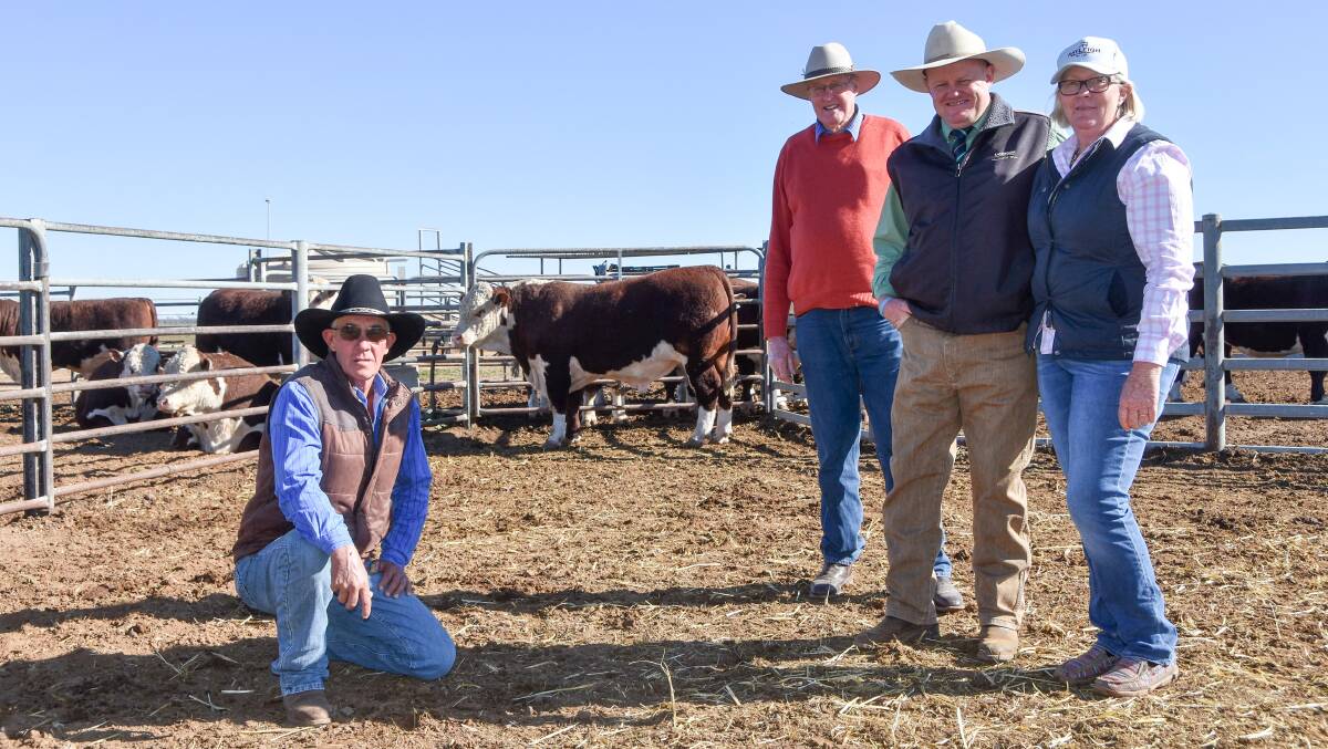 The $12000 top price bull, Rayleigh Nile N052, with Glen Elliott, Parmedman, Gulargambone, purchaser Tom Lyons, Parmedman, Gulargambone, Landmark agent John Settree and Rayleigh stud principal Robyn Holcombe. 