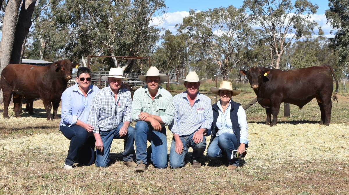 Top Price Futurity Prophecy P13 with new owners Anne and Ken Tippett, Glengyron, Newlyn, Victoria, Greg Schuller, Outback, Culcairn and Futurity stud principals Jason and Kylie Catts. 