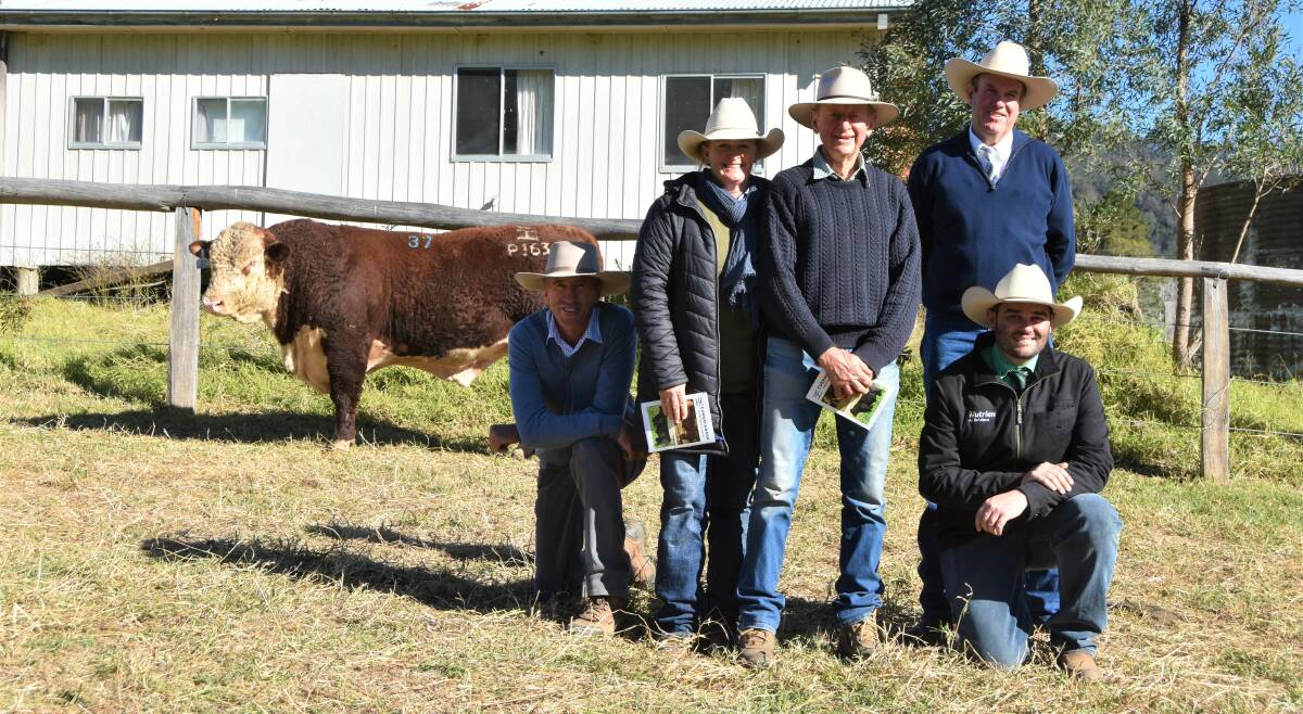 Top price Poll Hereford bull Curracabark Phantom P163 who sold for $20,000 with vendor James Higgins, Purchaser Christine Rasmussen and father Peter Swatridge, Brangus Park, Nevertire, auctioneer Paul Dooley and Nutrien agent Chris Dobie. 