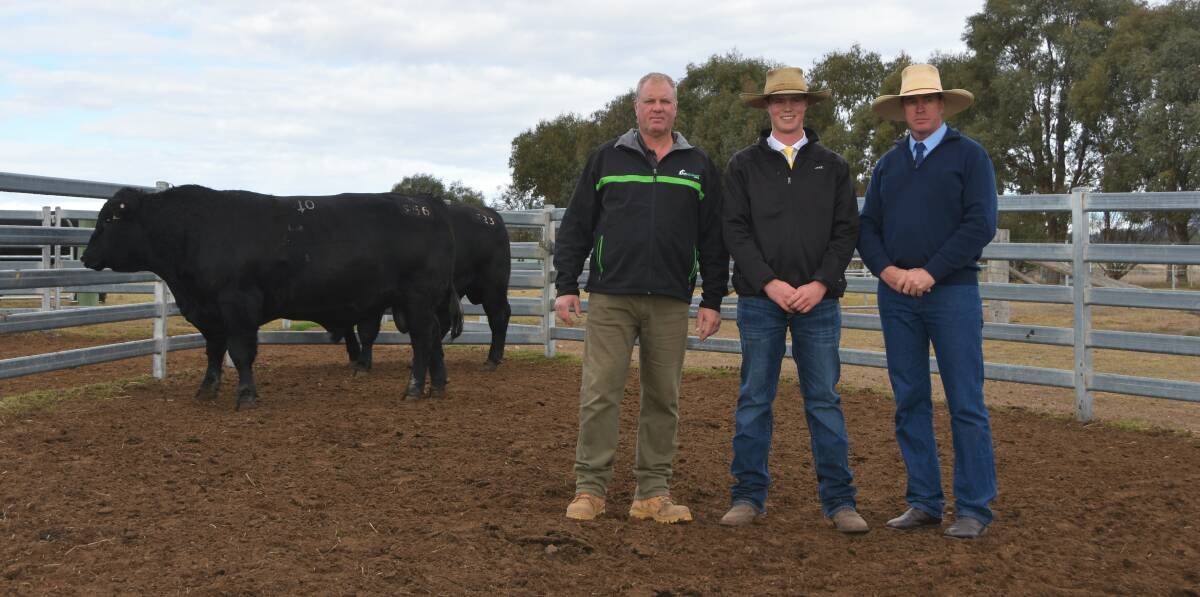 Bulk purchasers Brian & Jake Smith, Gilbrae Tenterfield with Inglebrae Farms manager Darren Battistuzzi