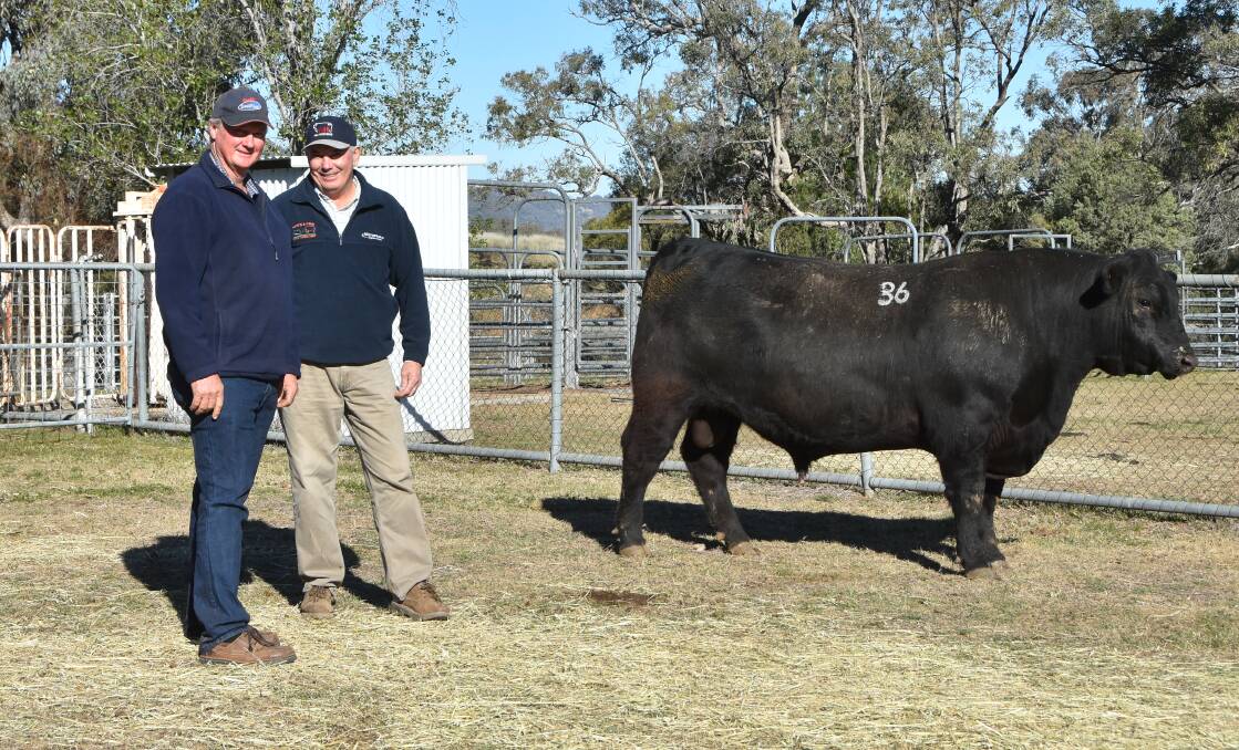 Graham Wilson, Clarendon, Manilla and Neil Smith, Bareela, Barraba who purchased Cascade King Pin N147 for $6000 on behalf of Graham's brother Ross Wilson, Weabend, Alstonville