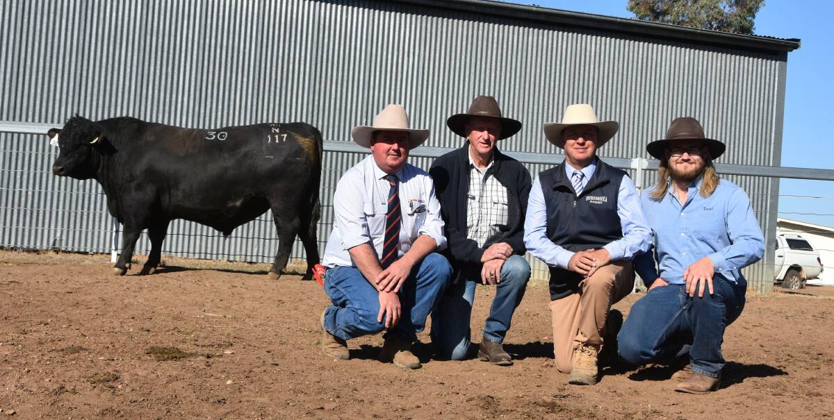 Booroomooka Prophet N117 the second bull to reach $14,000 pictured with agent Paul Banks, Davidson and Cameron, purchaser Dave Sweeney, Fullham Purlewaugh, Booroomooka stud principal Sinclair Munro and purchaser Mitchell Gibson, Fullham Purlewaugh