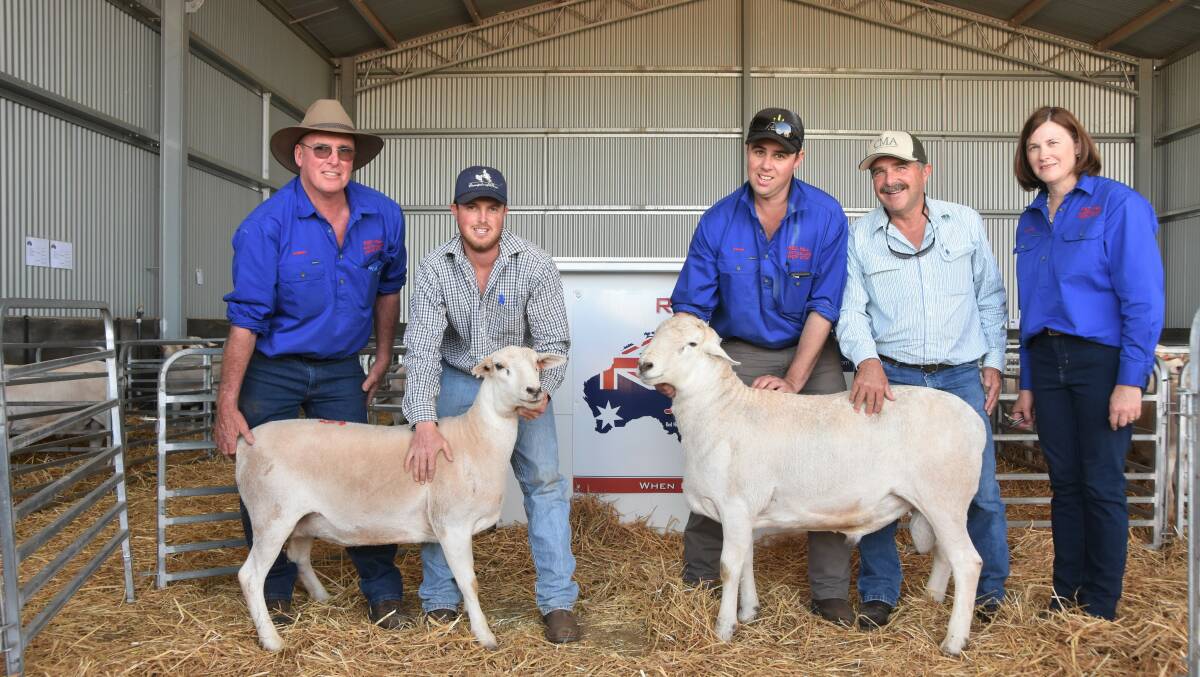 A stud ewe and ram, purchased as part of the bulk stud ewe draft with Red Hill Stud principal Robert Endacott with purchaser Joe Pederick, PF Pastoral, Attunga, Ethan Endacott, Red Hill, purchaser Steve Pederick, PF Pastoral, Attunga and Red Hill stud principal Leanne Endacott 
