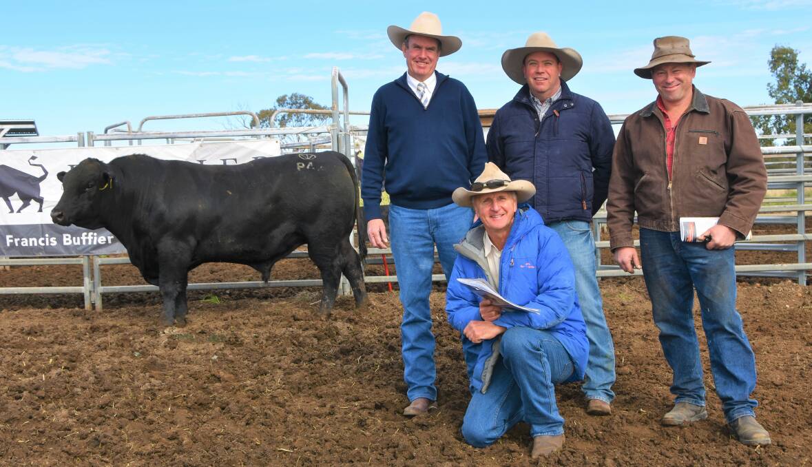 Top price $13,000 Tivoli Proceed P42 with auctioneer Paul Dooley, agent Francis Buffier, new owner Andrew Wallings, Wallings Pastoral Co, Cassilis and stud principal Hugh Kraeeft, Tivoli Angus.
