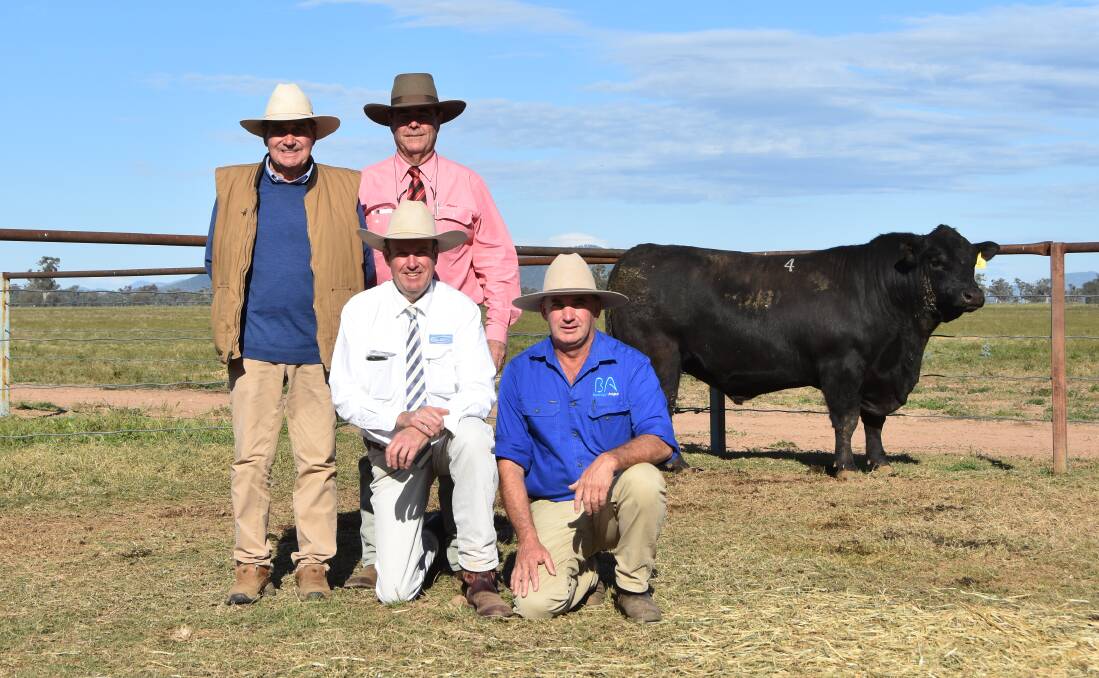 The $22,000 top price Booragul Leading Edge P81 with agent Mike Wilson, Studstock and Bloodstock who purchased the bull on behalf of Ascot Angus, Warwick Queensland, with agent Brian Kennedy, Elders, auctioneer Paul Dooley and Booragul stud principal Tim Vincent. 