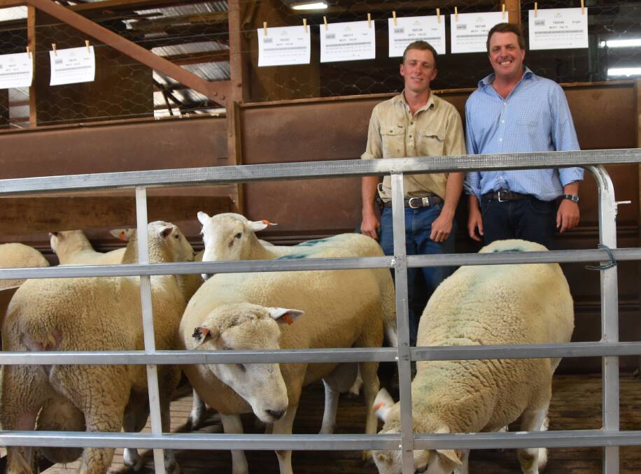 Bulk buyer Peter Young, Glen Collin Pastoral, Sallywood, Walcha and vendor Rob Mulligan, Salway with a selection of rams that were on offer. 