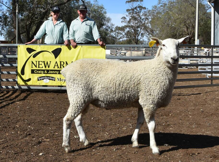 Top price $2100 ram purchased by Bellview rural Enterprises, Tottenham with New Armatree stud principals Jenny and Craig Bradley